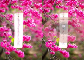 用戶好評如潮,搞定視力就靠它了