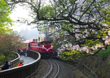 台灣逍遙游：乘坐台灣阿里山小火車森林悠閒遊