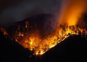 灣區空氣受大火煙霧污染到底有多嚴重？