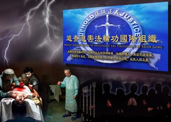 追查國際：中國大量移植器官來源不明