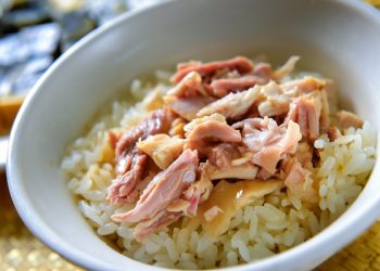 台灣嘉義的火雞肉飯