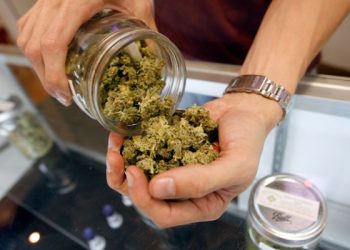 專家在線：教育專家告訴家長該如何與孩子談大麻的問題