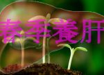希望之聲 - FM96.1 灣區台
