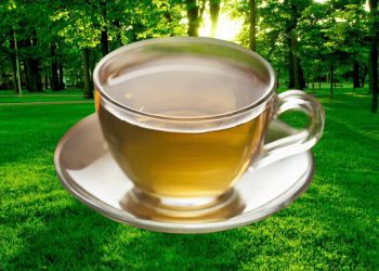 春分要喝蜂蜜茶