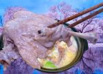 希望之聲 - FM96.1 灣區台
