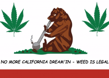 你贊成全美大麻輕罪化嗎？