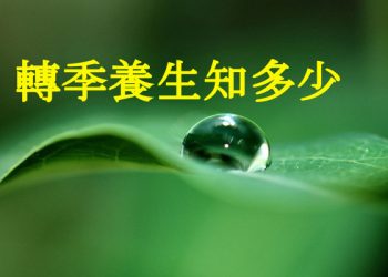 如何呵護您的換季養生