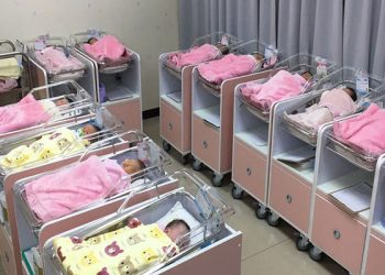 美出生率30年新低–要不要小孩只是自己的事嗎？