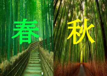 季節轉換出現咳嗽症狀是過敏還是生病?
