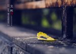 希望之聲 - FM96.1 灣區台