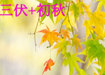 三伏未出，秋已來臨，該如何養生？