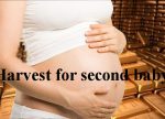 希望之聲 - FM96.1 灣區台 希望之聲 - FM96.1 灣區台