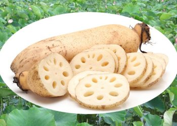白露時節吃蓮藕