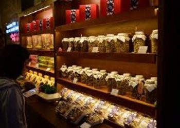 天氣轉涼想進補 中醫如何看待補身體?