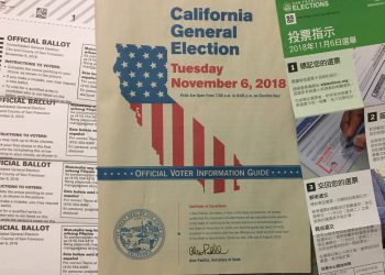 中期選舉在即，您關心哪些候選人或提案？（2）