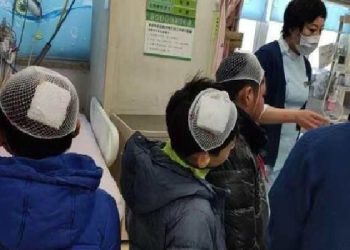 專家在線：從大陸校園小學生被砍傷事件談孩子的安全教育
