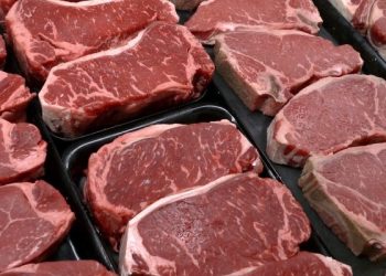 你吃的肉裡有抗生素嗎