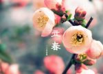 希望之聲 - FM96.1 灣區台