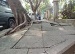 希望之聲 - FM96.1 灣區台 希望之聲 - FM96.1 灣區台