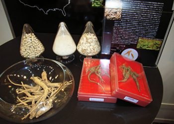 熱點大家談：花旗參不能帶回中國？舊金山商家生意大受影響