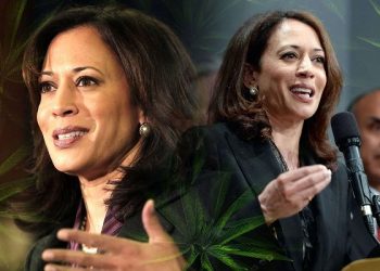 國會民主黨擬多項立法 推動全美大麻合法化