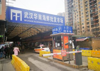 武漢不明肺炎快速蔓延增至59例 香港增至15例
