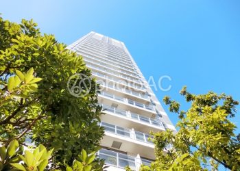 春暖花開的時節灣區地產市場攀升，地產交易平台廣受歡迎！