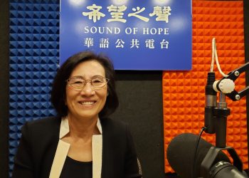【2020大選專題報道】專訪：聖荷西第十選區市議員候選人Helen Wang王葆蓉