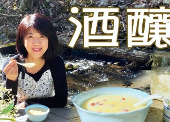 自己在家如何做酒釀