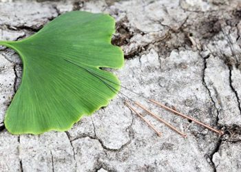 常欣中醫師：綠色能量調理法如何治療冠狀肺炎？