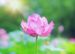 希望之聲 - FM96.1 灣區台