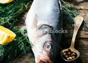 鱸魚火鍋