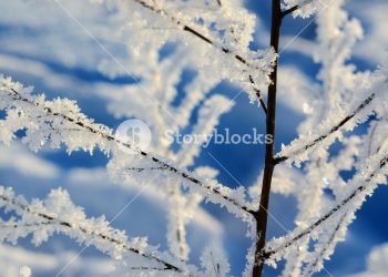 冬季大雪節氣養生需要注意一些什麼？