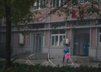 世衛赴武漢查病毒起源； Paler歸來