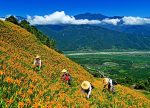 希望之聲 - FM96.1 灣區台
