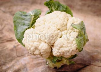如何種植花椰菜？