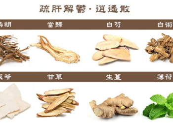 肝虛血燥，逍遙散幫助調理氣血與肝膽