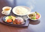 希望之聲 - FM96.1 灣區台