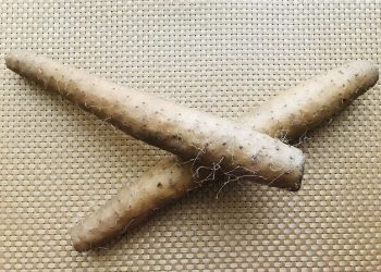 拔絲山藥