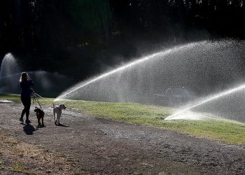 水務局節水新措施有9不可/Walnut Creek市議會花200萬美元應對Nordstrom搶劫案/灣區房價在近期持續飆升