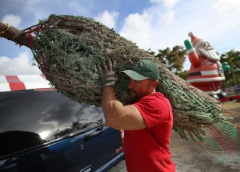 家用聖誕樹需注意哪些問題?