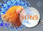 希望之聲 - FM96.1 灣區台