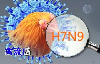 中醫應對禽流感的對策