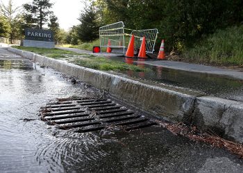 舊金山肯尼迪路或將永久禁止機動車通行