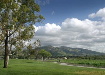 Fremont被評為美國最快樂的城市