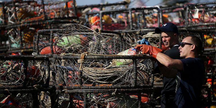 加州半月灣捕蟹商人正在整理繩網。（Getty Images）