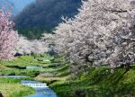 希望之聲 - FM96.1 灣區台