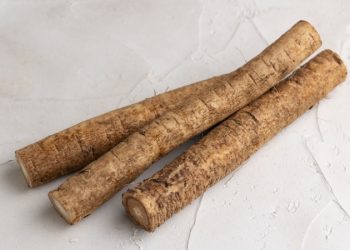 止痛消炎清毒——胡醫師談牛蒡的食療作用