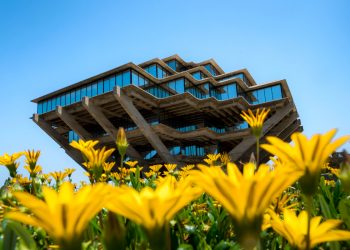 加大聖地亞哥分校：早期教育加強孩子語言技能