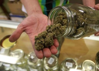 全美大麻合法化!?大部分人認為灣區走錯方向,您怎麼看?
